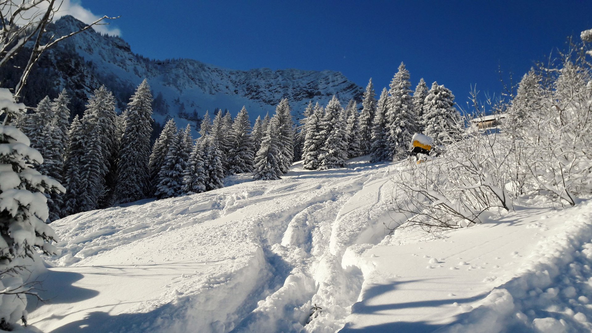 Birthday party by the lake? Here’s the perfect location. Snow-covered forest slope with tracks under a clear blue sky