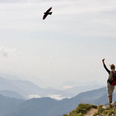 A look at Alte Wurzhütte Hiker with backpack on mountain overlooking misty mountains and bird flying