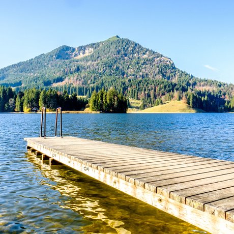 A look at Alte Wurzhütte Wooden pier extending over clear mountain lake with forest and mountain behind