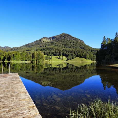 A look at Alte Wurzhütte Pier on a calm mountain lake with forest and mountain reflection under clear sky