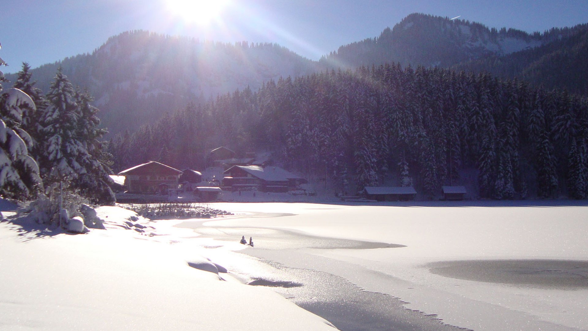 How to reach Alte Wurzhütte. Snow-covered lake and fir trees under bright winter sun in the mountains