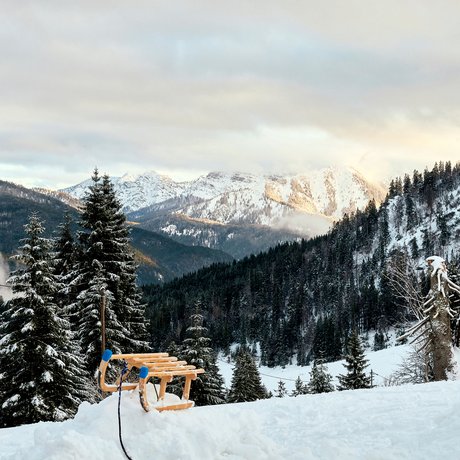 A look at Alte Wurzhütte Sled on snowy hill overlooking forested mountains in winter