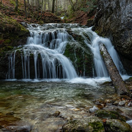 A look at Alte Wurzhütte Small waterfall with clear stream in forested rocky landscape