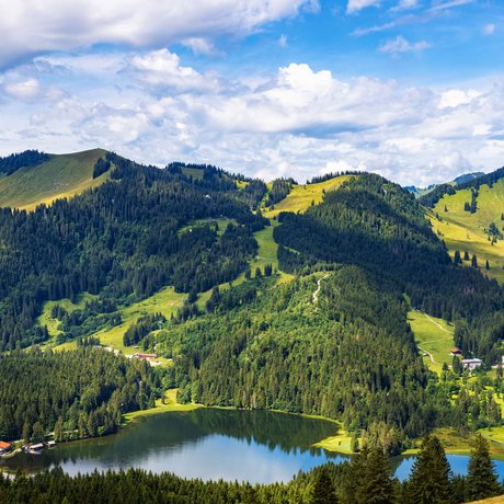 A look at Alte Wurzhütte Mountain lake surrounded by forests and green hills under a blue sky