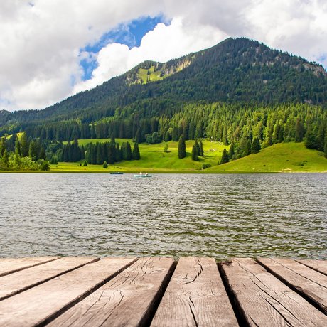 A look at Alte Wurzhütte Wooden pier by lake with forested mountain and cloudy sky in background