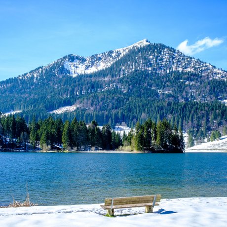 A look at Alte Wurzhütte Bench by snowy lake with forested mountain in the background