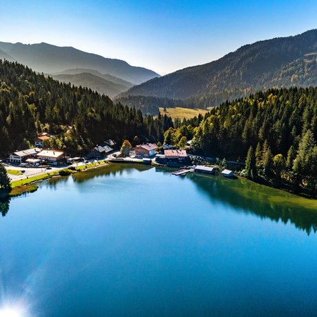 A look at Alte Wurzhütte View of a calm mountain lake surrounded by forest and mountains on a clear day